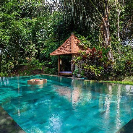 Sari Bamboo Villas Ubud Zewnętrze zdjęcie
