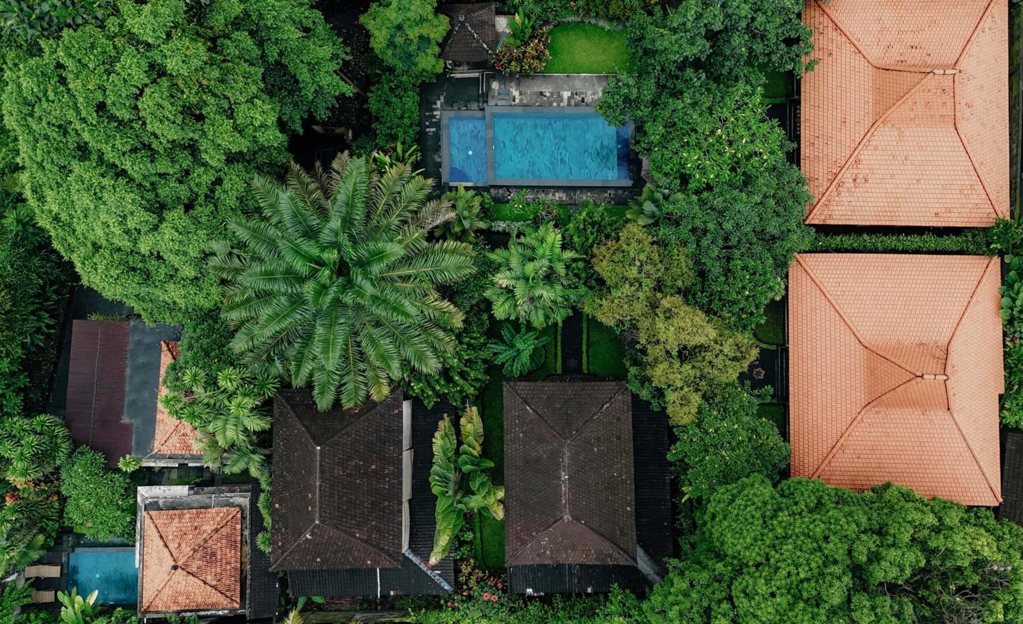 Sari Bamboo Villas Ubud Zewnętrze zdjęcie