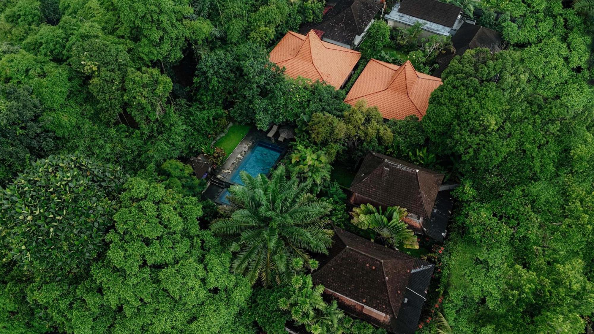 Sari Bamboo Villas Ubud Zewnętrze zdjęcie